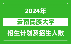 云南民族大学2024年在新疆的招生计划及招生人数
