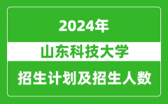 山东科技大学2024年在新疆的招生计划及招生人数