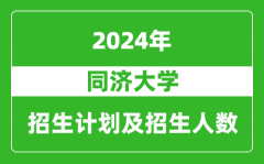 同济大学2024年在新疆的招生计划及招生人数