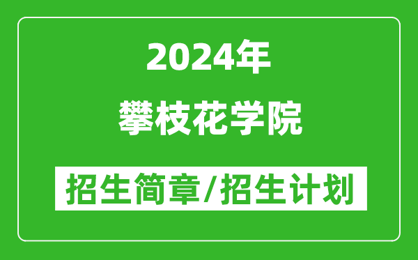 攀枝花学院2024年高考招生简章及各省招生计划人数