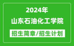 山东石油化工学院2024年高考招生简章及各省招生计划人数