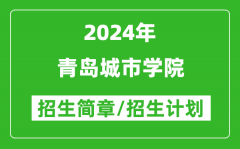 青岛城市学院2024年高考招生简章及各省招生计划人数
