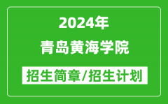 青岛黄海学院2024年高考招生简章及各省招生计划人数