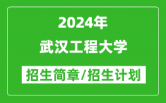 武汉工程大学2024年高考招生简章及各省招生计划人数
