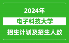 电子科技大学2024年在四川的招生计划及招生人数