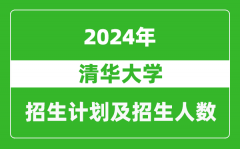 清华大学2024年在四川的招生计划及招生人数