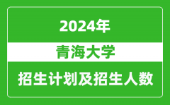 青海大学2024年在湖北的招生计划及招生人数