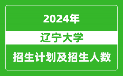 辽宁大学2024年在湖南的招生计划及招生人数