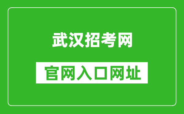 武汉招考网官网入口网址：https://www.whzkb.cn/