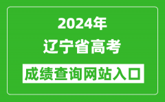 2024年辽宁省高考成绩查询网站入口（https://www.lnzsks.com/）