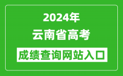 2024年云南省高考成绩查询网站入口（https://www.ynzs.cn/）