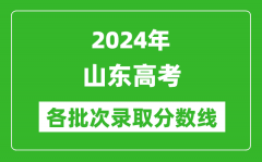 2024山东高考各批次录取分数线一览表（含一本,二本,专科）