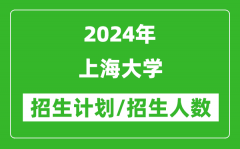 2024年上海大学各省招生计划及各专业招生人数是多少？