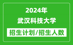2024年武汉科技大学各省招生计划及各专业招生人数是多少？