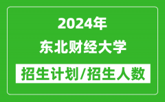 2024年东北财经大学各省招生计划及各专业招生人数是多少？