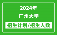 2024年广州大学各省招生计划及各专业招生人数是多少？