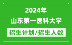 2024年山东第一医科大学各省招生计划及各专业招生人数是多少？