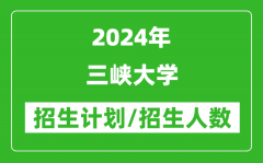 2024年三峡大学各省招生计划及各专业招生人数是多少？