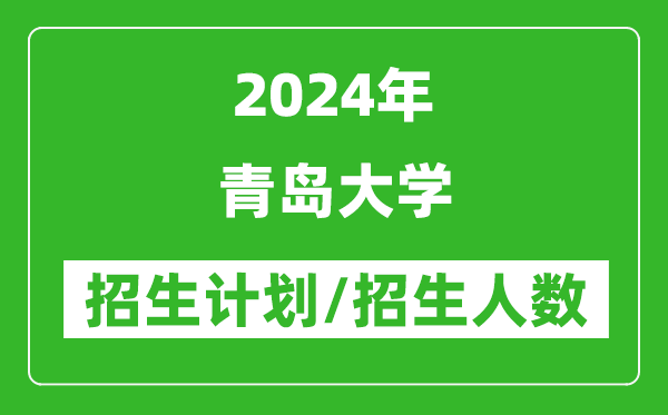 2024年青岛大学各省招生计划及各专业招生人数是多少