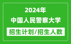 2024年中国人民警察大学各省招生计划及各专业招生人数是多少？