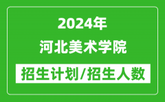 2024年河北美术学院各省招生计划及各专业招生人数是多少？