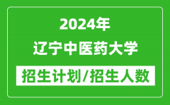 2024年辽宁中医药大学各省招生计划及各专业招生人数是多少？