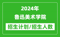 2024年鲁迅美术学院各省招生计划及各专业招生人数是多少？