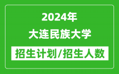 2024年大连民族大学各省招生计划及各专业招生人数是多少？