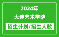 2024年大连艺术学院各省招生计划及各专业招生人数是多少？