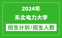 2024年东北电力大学各省招生计划及各专业招生人数是多少？