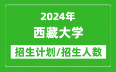 2024年西藏大学各省招生计划及各专业招生人数是多少？
