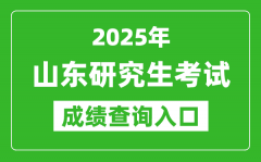 2025年山东硕士研究生初试成绩查询入口(https://www.sdzk.cn)