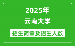 云南大学2025年高考招生简章及各省招生计划人数