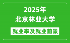 2025北京林业大学就业率及就业前景怎么样_好就业吗？