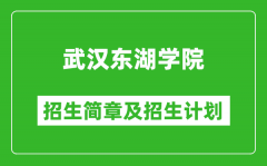 武汉东湖学院2025年高考招生简章及各省招生计划人数