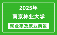 2025南京林业大学就业率及就业前景怎么样_好就业吗？