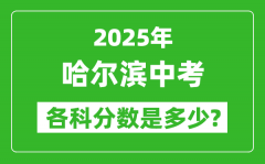 2025哈尔滨中考科目及各科分数是多少？