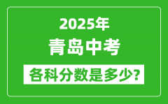 2025青岛中考科目及各科分数是多少？