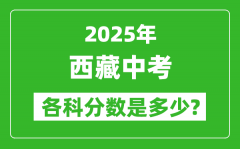 2025西藏中考科目及各科分数是多少？