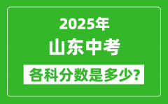 2025山东中考科目及各科分数是多少？