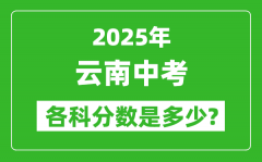 2025云南中考科目及各科分数是多少？