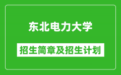 东北电力大学2025年招生简章_各省高考招生计划人数一览表