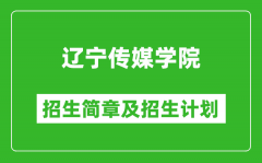 辽宁传媒学院2025年招生简章_各省高考招生计划人数一览表