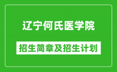辽宁何氏医学院2025年招生简章_各省高考招生计划人数一览表