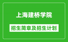 上海建桥学院2025年招生简章_各省高考招生计划人数一览表