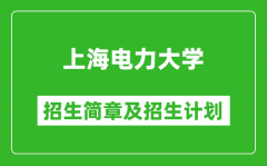 上海电力大学2025年招生简章_各省高考招生计划人数一览表
