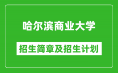 哈尔滨商业大学2025年招生简章_各省高考招生计划人数一览表