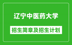 辽宁中医药大学2025年招生简章_各省高考招生计划人数一览表