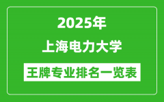 2025年上海电力大学王牌专业排名一览表(含录取分数线)