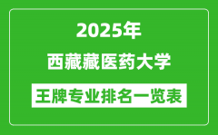 2025年西藏藏医药大学王牌专业排名一览表(含录取分数线)